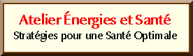 ATELIER NERGIES ET SANT