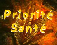 Vers Priorit Sant