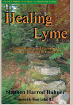 Healing Lyme by Stephen Harrod Buhner