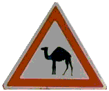 Attention dromadaire